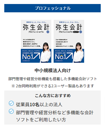 プロフェッショナル